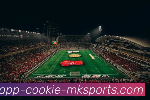 App Interface Preview