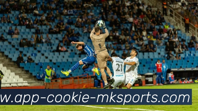 MK体育APPAPP 封面图